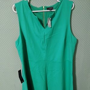 The Limited Mint Dress
